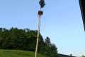 IMG-20250501-WA0024